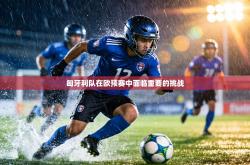 匈牙利队在欧预赛中面临重要的挑战