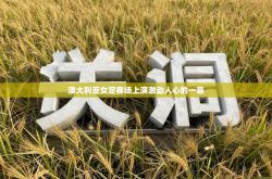 澳大利亚女足赛场上演激动人心的一幕