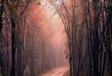 斯洛伐克王牌球员受伤，悬而未决出线形势