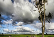 辽宁宏运卫冕心切!逆转强敌抢夺胜利关键!