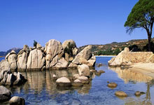 狼队球员齐心协力，助球队获得胜利