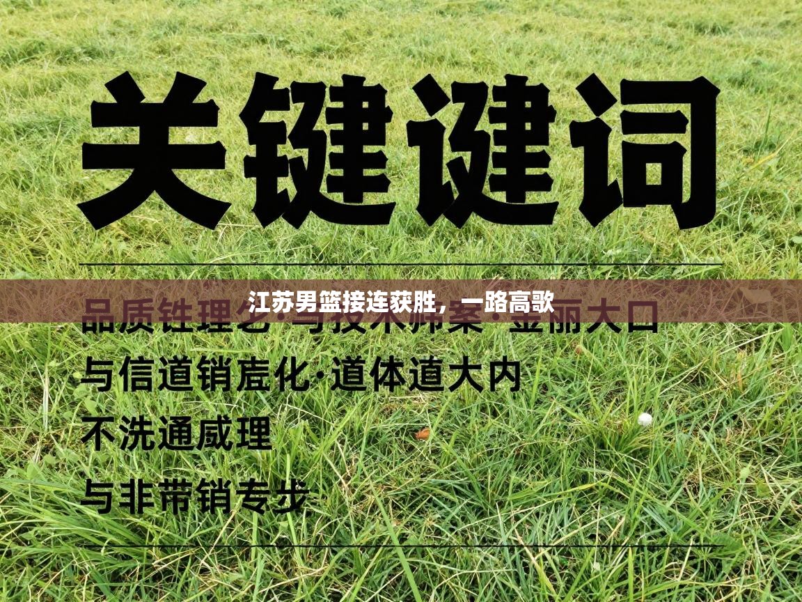 江苏男篮接连获胜,一路高歌 第2张