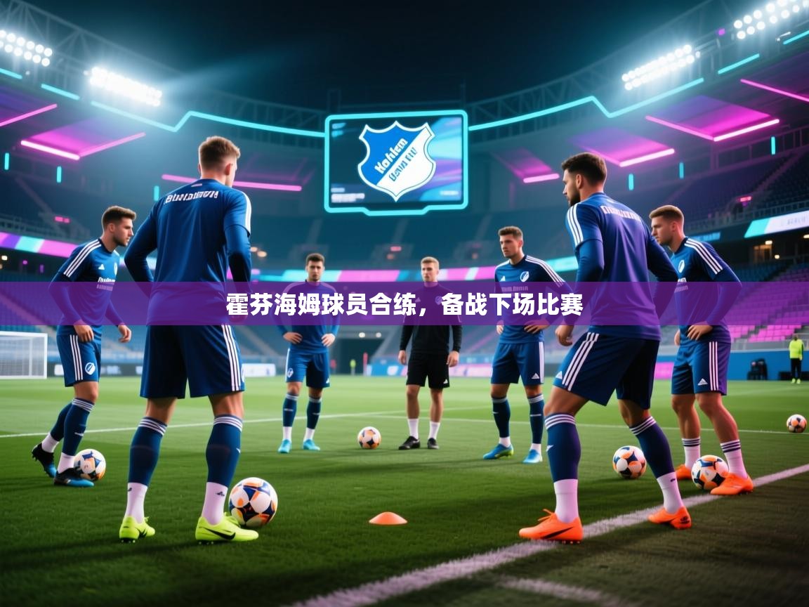 霍芬海姆球员合练,备战下场比赛 第1张