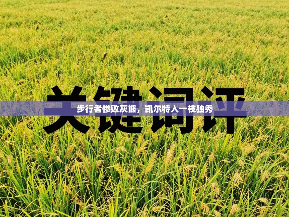 步行者惨败灰熊，凯尔特人一枝独秀  第2张